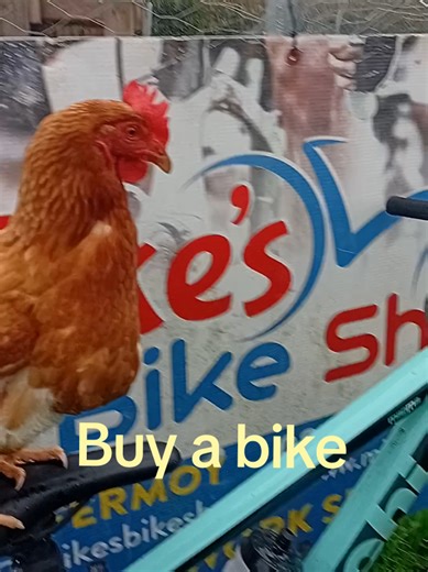 Mike | Bike Shop - Cycling Fan (@mikesbikeshopfermoy)’s videos with original sound - Mike | Bike Shop - Cycling Fan