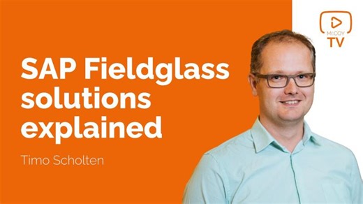 SAP Fieldglass Solutions Explained | Timo Scholten