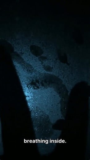 That Freezer Door Shouldn't Have Done That #paranormal #horror #shorts