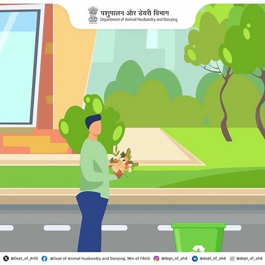 The Clean Divide: Wet vs. Dry Waste