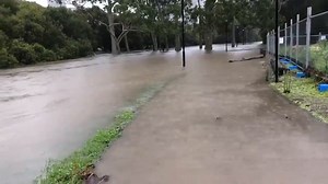 RAW: Parramatta River in flood
