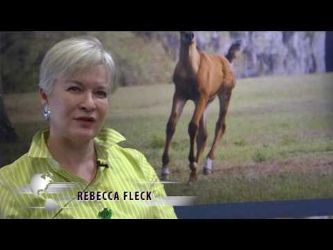 Advice from Arabian Horse Breeders