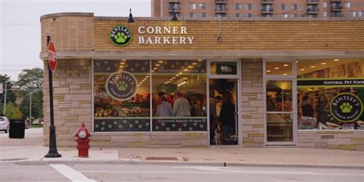 Bentley's Corner Barkery: The Profit Updates in 2023 - An SEO Insights Agency