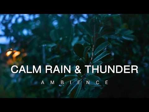 10 Hour | Rain Falling on Leaves with Distant Thunder & Wind Sounds | Relaxing Nature Ambience