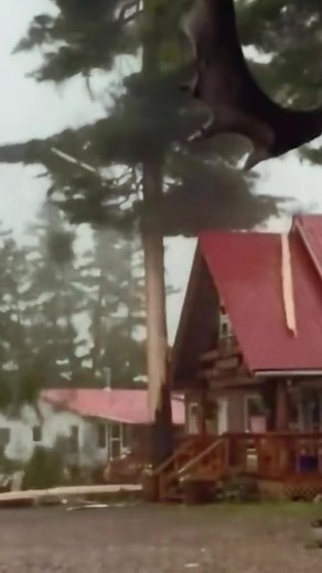 Simulating a Tornado Ripping Through the City: Disaster Response Training Footage #teamwork