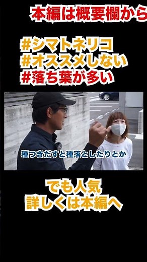 植栽シマトネリコは落ち葉が多い