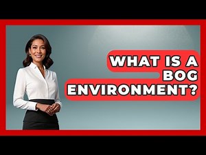What Is A Bog Environment? - Archaeology Quest
