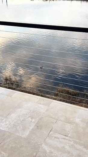 1.2K views · 18 reactions | We had another observer today while doing cable rail!! | Dax Smith Cable Rail Systems | Facebook