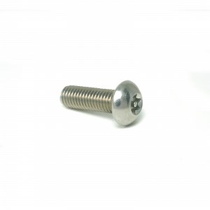 [Hot Item] Premium Quality Security Screws for Reliable and Secure Fastening