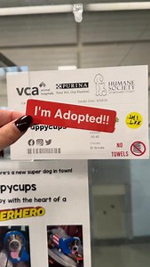 19K views · 14K reactions | Starting his new life!! ❤️ Our sweet...