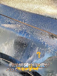 車の樹液・鳥の糞汚れを簡単除去