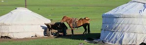 MONGOLIE - VOYAGE A CHEVAL - Randonnée, aventure à cheval, trek et circuit équestre par Randocheval, le spécialiste du voyage en Mongolie