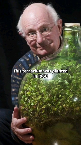 Ben Newell on Instagram: "I want to meet David Latimer ALSO Hello Tiny World audiobook is out today! If you want to hear me talk you through the book then you know where to head ⬆️ #terrarium"