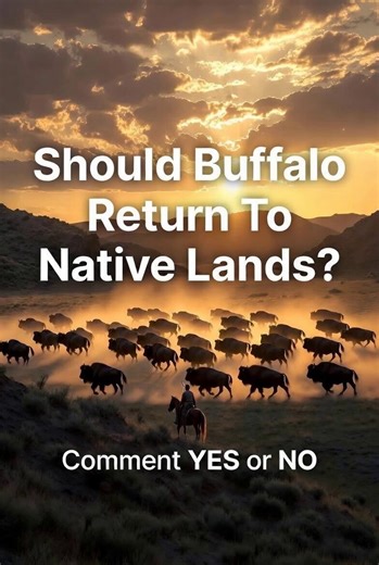 If you support Native American people’s, history & culture Say.. “Yes".❤️