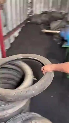 Exploring Global Celebrities and Cultures