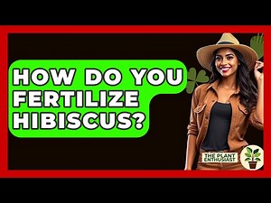 How Do You Fertilize Hibiscus? - The Plant Enthusiast