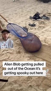 Alien Blob getting pulled out of the #ocean it’s getting spooky out here #aliens #blob #outofspace #fypviralシ #fypfacebook #fypシ゚ | French Dose