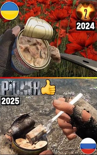 ☢️ STALKER 2 vs PIONER (Russian Stalker) 👍 Animation Comparison #Shorts #Stalker2 #new #pioner