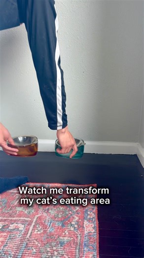 1.2K views | WATCH ME: Cat Eating Area Transformation! ️ My cat's...
