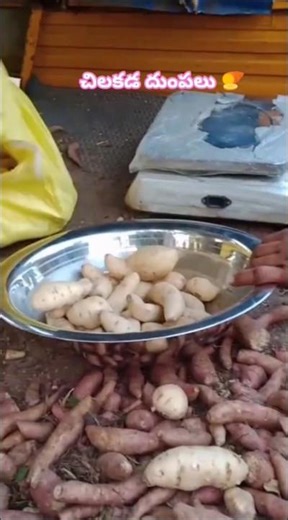 చిలకడ దుంపల ఆరోగ్య ప్రయోజనాలు 🍠#sweetpotato #healthbenefits #healthtips #healthy #food