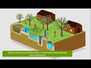 BIOTREAT: Filtros Naturales para el Tratamiento de Aguas