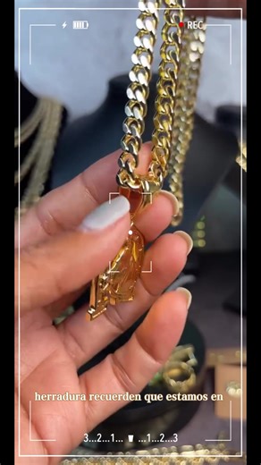 Unisex 14K Gold-Plated Horseshoe Horse Hip-Hop Pendant - 2.5-8mm Miami Cuban/Figaro Link/Rope Torch Chain 18-24-Inch Necklace Fashion Jewelry