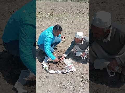 Soil sampling procedure (A field demonstration to soil sampling)