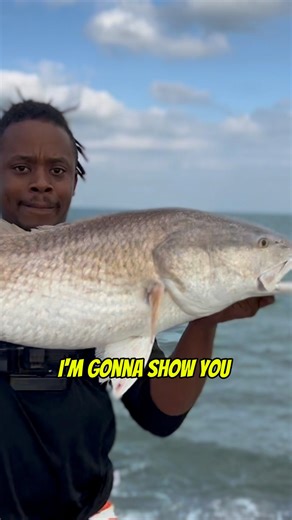 23K views · 486 reactions |  Want to catch a massive bull redfish from the jetties? Here’s the secret 狼蘿Use mullet as bait!  The moment it hits the water, get ready for an instant bite and an insane fight!  These giants can’t resist a tasty mullet, and you’ll feel the adrenaline rush as soon as they strike! #JettyFishing #BullRedfish #FishingTips #AdVentureBro #EpicCatch | AdVenture Bro | Facebook