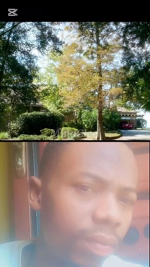 An unfortunate incident| movie recap #hollywood #Blockbuster #MovieReview #MovieRecap #viralvideoシ #viralreelsシ #Trend | MindGlee