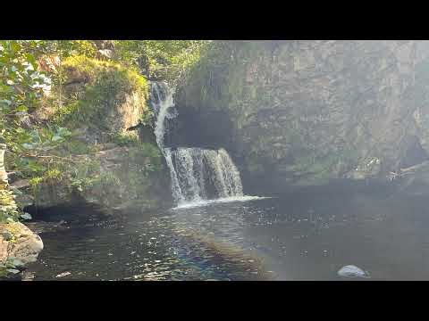 Invincible showdown #55