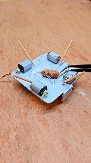 Funny Cockroach Trap Memes