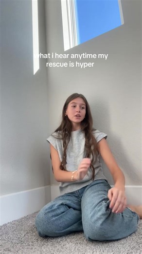 Understanding Hyperactive Dog Behavior