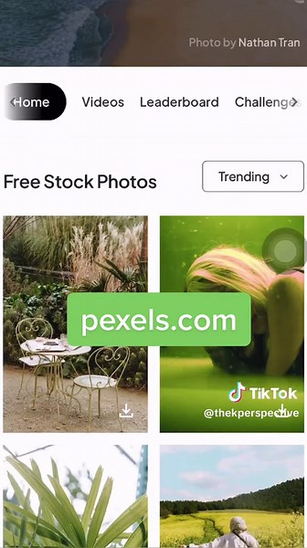 Best Sites for High-Quality Free Images and Clips