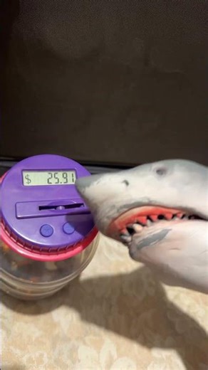 SB Short: Shark Puppet’s money jar! #shorts