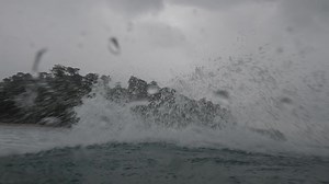 The FREEDOM+ Surf - SHORTBOARD // A seamless shark deterrent solution for surfboards under 6'6", with no impact on performance // ‍♂️ @thomasvictorcarroll ​ ​Surf the way you always have – with just a little more freedom. ​ ​__ ​#FREEDOM+Surf #oceanguardian_official #sharkshield #sharkshieldtechnology #sharkdeterrent #proven #tested #surfing #surfboard #surfer #surfsmart | Ocean Guardian - Shark Shield Technology | Facebook