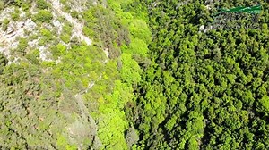 #Lebanon #koura #kousba #north #northlebanon #gonorth #ehdenadventures #MikeSportLeb #thenorthface #drone #nature #tourism #green #trees #dji #mavicair #livelovekoura #valley #water #waterfall #hamatoura | Ehden Adventures