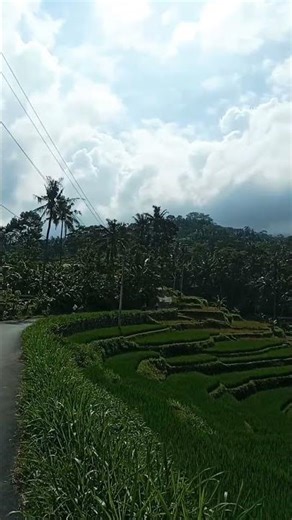 Do'a hari ini #doaharian #islamicshorts