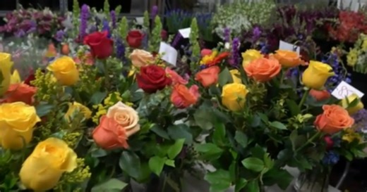 Mother's Day deals and freebies for Spokane residents