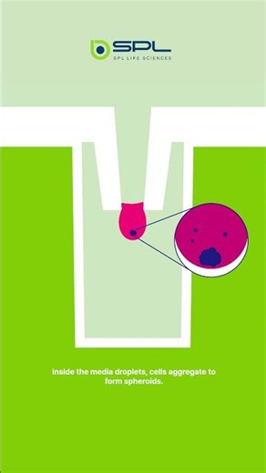 #shorts #에스피엘 애니메이션으로 알아보는 Hanging Drop Plate💧｜제품 원리 애니메이션 🧪