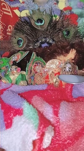 Laddugopal daily night routine ✨❤️🪄👀🧿 #trending #laddugopal #seva #bhakti #explore #yt