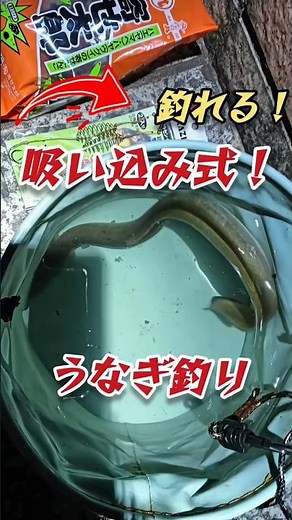 You can catch eels with this! Eel fishing with a suction rig. #fishing #eel #rig #bait