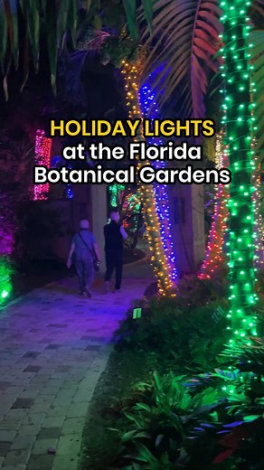 376K views · 586 reactions | Holiday Lights return to the Florida...