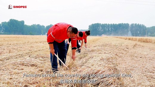 268K views · 120 reactions | Today marks Beginning of Summer (or Li...