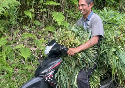 Dominique Kent on Reels