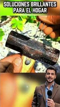 Brilliant Home Solutions ✨