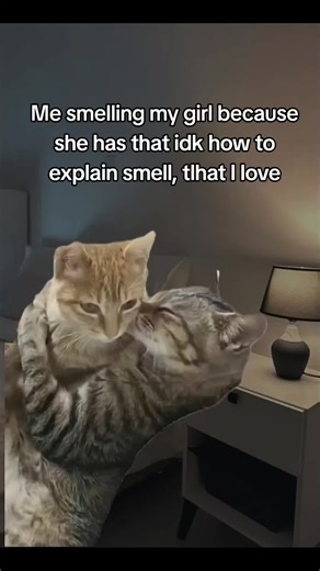 Girlfriend's Unique Scent Love