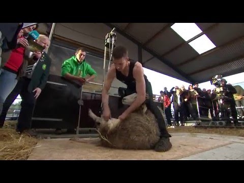 Ivan Scott Breaks World Record! |Big Week on the Farm | RTÉ ONE