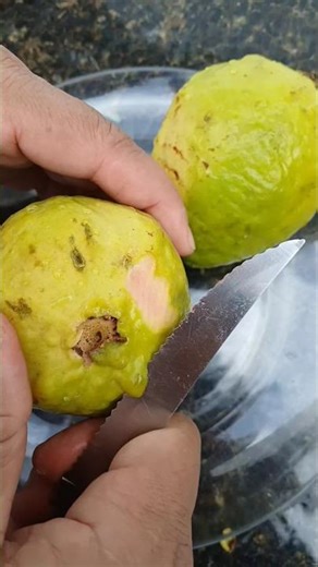 Discover now 10 health benefits of guava.
