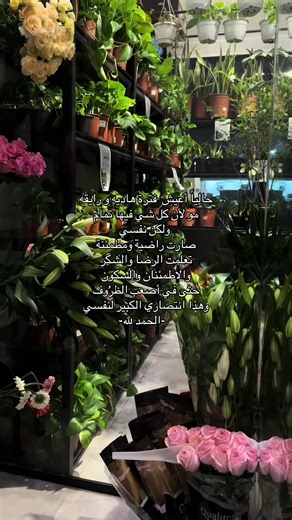 فيديوهات أنشأها Lolah (@il.33o) باستخدام original sound - user65854546235