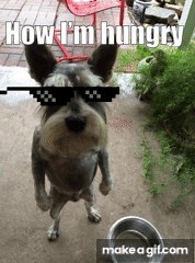 I hungry on Make a GIF
